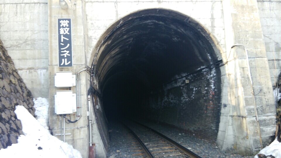 東北・北海道・北陸を転々 主にグラブル(所属団　山葵～WASABI～）シャドバやってます