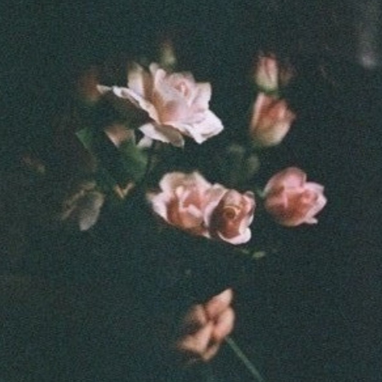 how deep is your love
