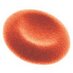 P.F.Cowan (@stemcellsnews) Twitter profile photo