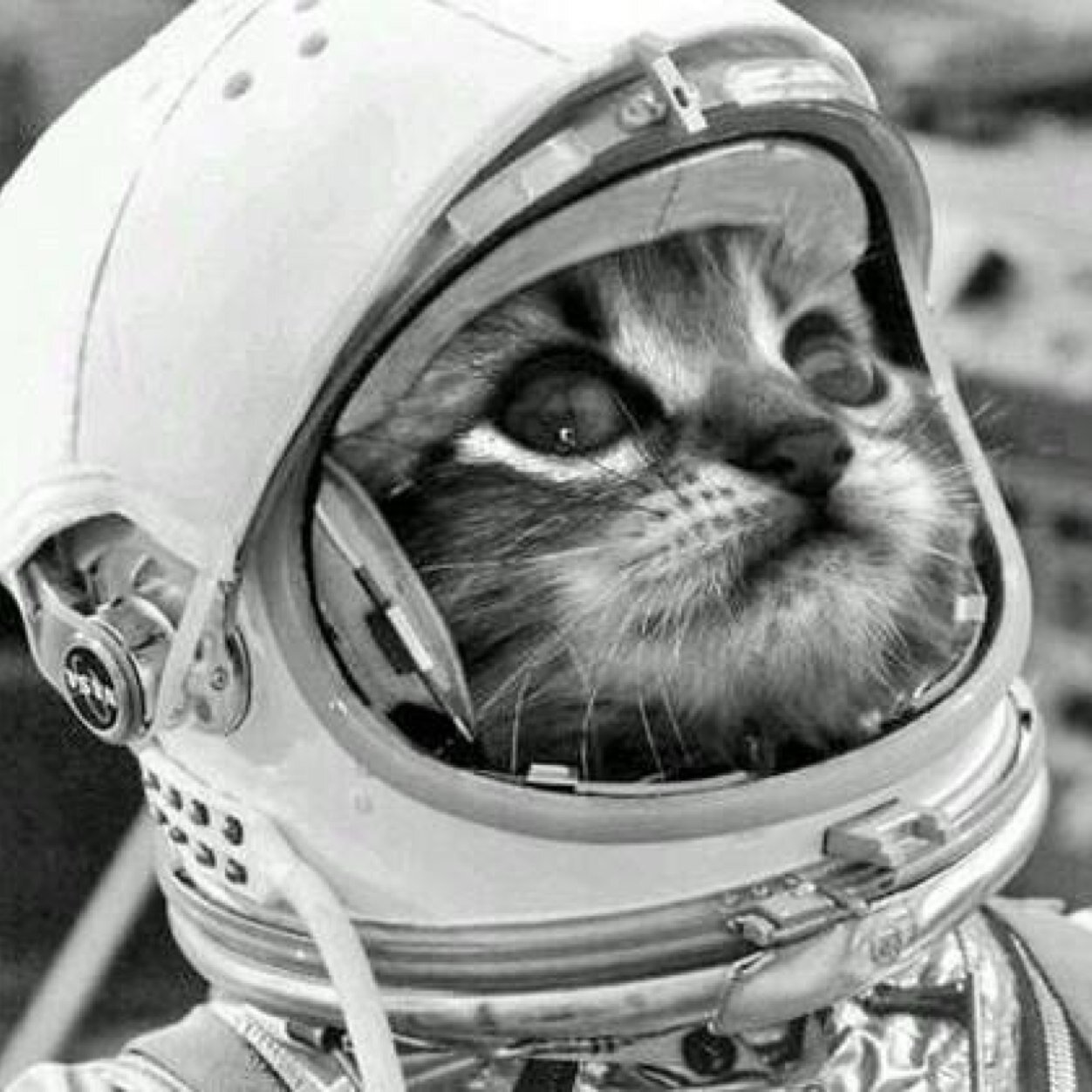 jslc_juan's profile picture. 