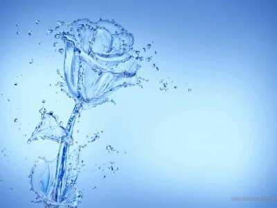 MMoha162's profile picture. ‏جوي عليل .. والفضل لله