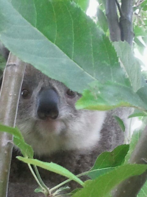 ToTallPartners's profile picture. 