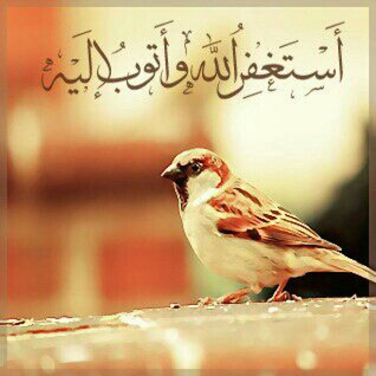 رَبَّنَا لاَ تُزِغْ قُلُوبَنَا بَعْدَ إِذْ هَدَيْتَنَا وَهَبْ لَنَا مِن لَّدُنكَ رَحْمَةً إِنَّكَ أَنتَ الْوَهَّاب