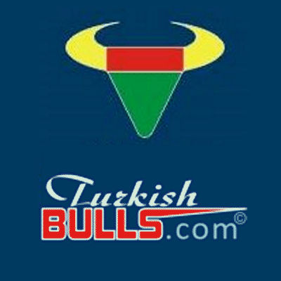 gratis kaç tl üzeri kargo bedava Dohol forum - Elle Fashion Firenze Turkishbulls DOHOL