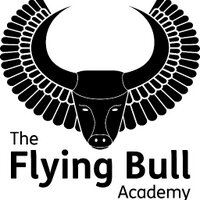 The Flying Bull Academy (@flyingbulla) 's Twitter Profile