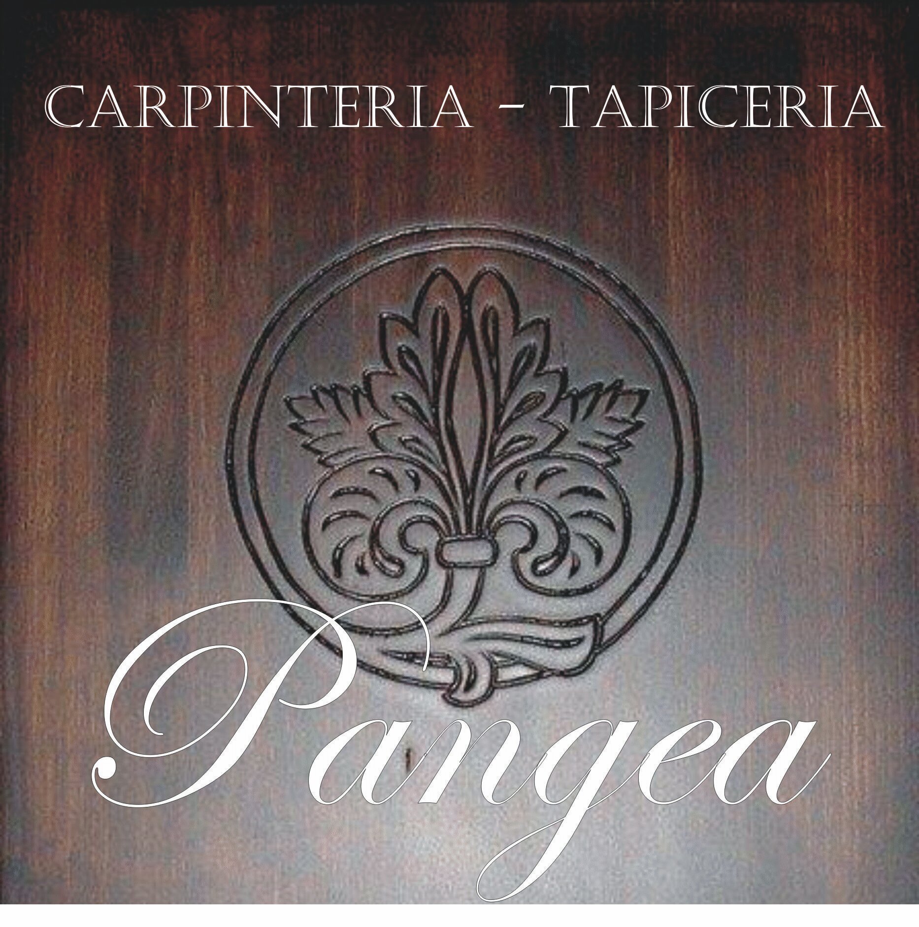 Pangeacarpint's profile picture. 627657931