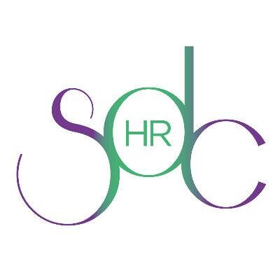 Employment Law & HR advice, training & consultancy with a cape and a black-belt.