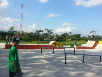 bravoladinojula's profile picture. 