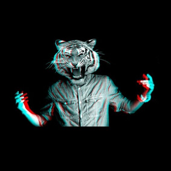 3345507k's profile picture. Sigueme y te sigo. Solo chicas solteras.