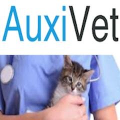 Informations professionnelles online des auxiliaires vétérinaires #ASV actualités animalières #vétérinaire #auxiliaireveterinaire #auxivet #emploi #formation