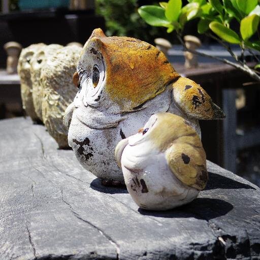 shochil19's profile picture. 自由きままに。 Mr.Children/サッカー/カメラ