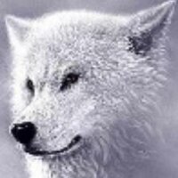 Шамсутдинов Радмир (@mazlerepini) 's Twitter Profile Photo