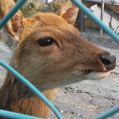 ゆかり