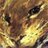 bolmekornpahgge's profile image