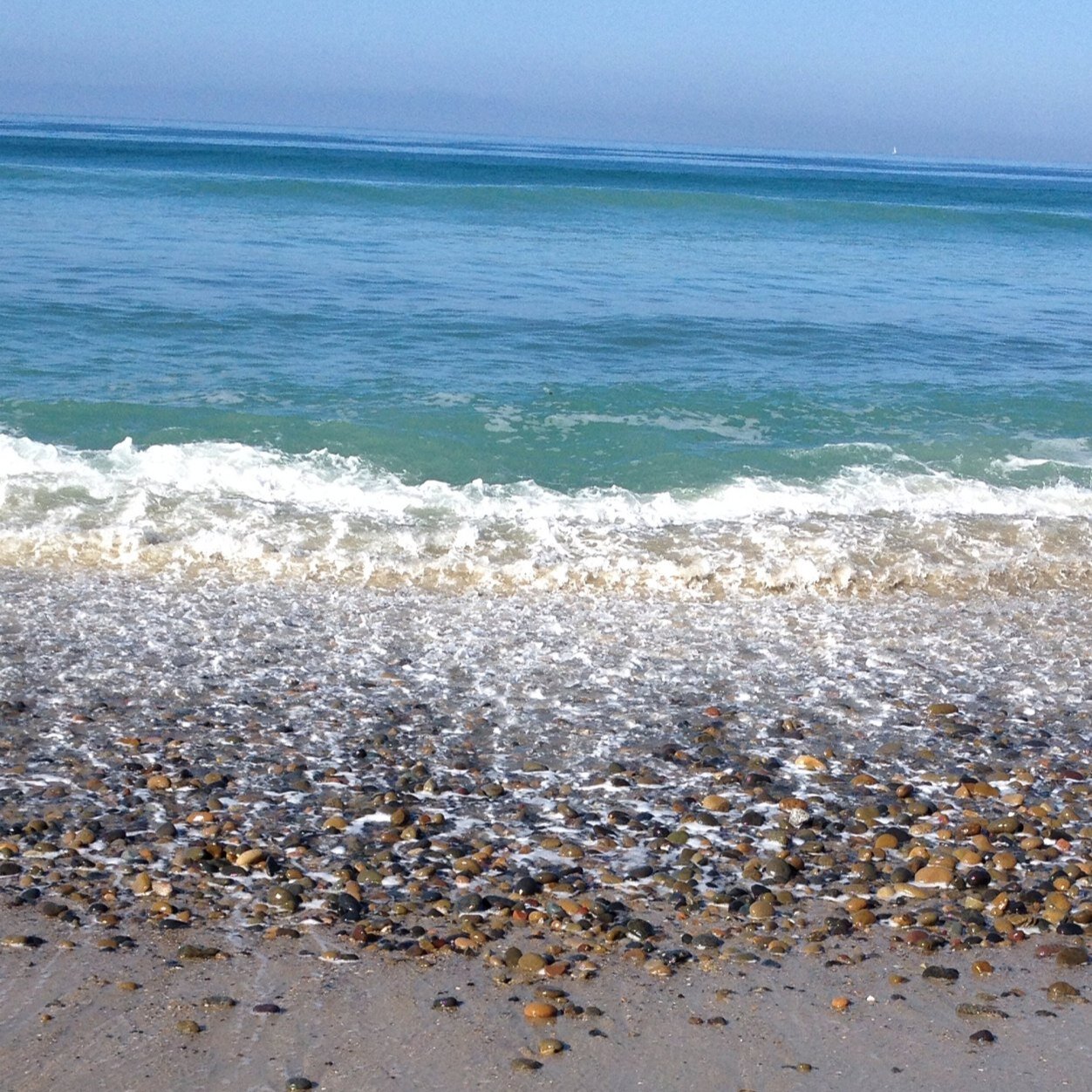 MedicalWalls's profile picture. 