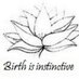 BirthWorks Intl. (@BirthWorksIntl) Twitter profile photo