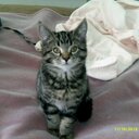 Connie Harmon - @ConnieHarmon18 - Twitter