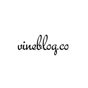 a blog about vine written by viners