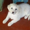 ruth laguna leon - @ruthlagunaleon1 - Twitter