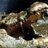 clamforgpamrere's profile image