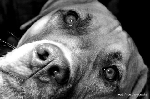 jeffery_crown's profile picture. The highest voltage point in Ghana is exactly my location