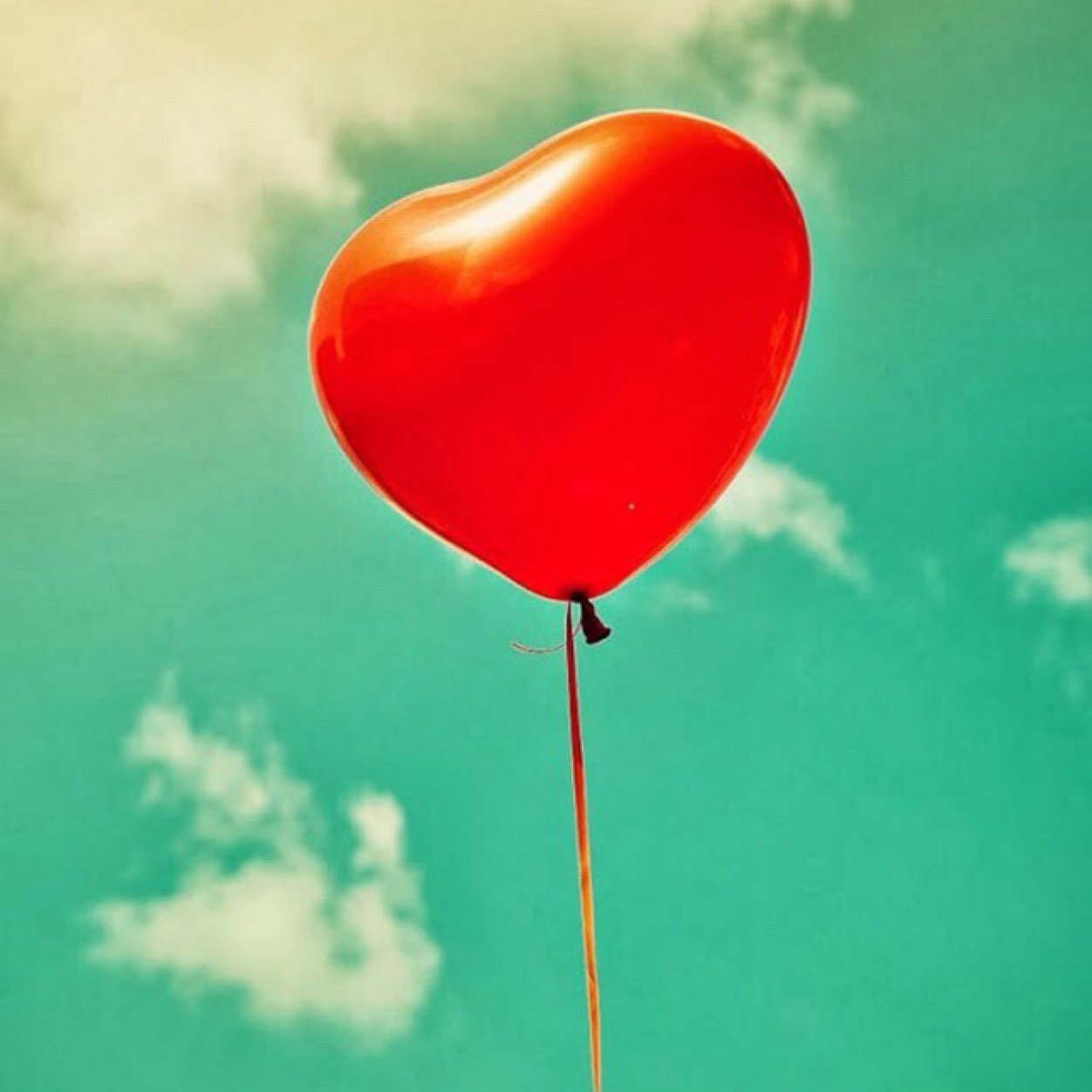 Quotes4Chinese's profile picture. 有些人就像照近指縫裡的樣光，溫暖，美好，卻無法抓住。