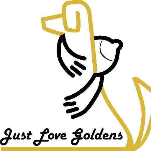 Samantha, Angel Marley and Angel Sadie, 🌈❤️Just Love Golden's models, inspired merchandise, FB page and blog just for golden retriever lovers!