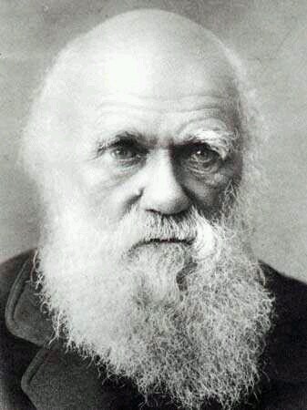 DarwinRace's profile picture. Perfil creativo de Charles Darwin 
Exposición de #pensamientocreativo de los alumnos de @LoyolandCom