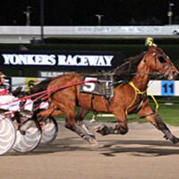 Scott Pennacchio (@sjpennacch1978) Twitter profile photo