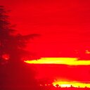 lee post - @dudspost7 - Twitter