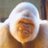 letsacomptorri's profile image