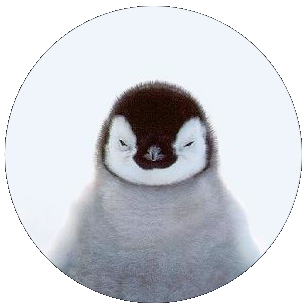 Pingouin Grincheuxさんのプロフィール画像