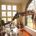 Donna Salerno Travel - @DSalernoTravel - Twitter