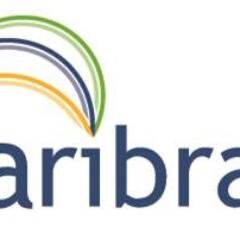 aribra's profile picture. development consultancy + advisory | for proposals: yhenry@aribra.com