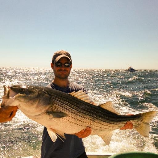 Co-Founder of @OurHarvest, Amateur Fisherman, Aspiring Grill Master
