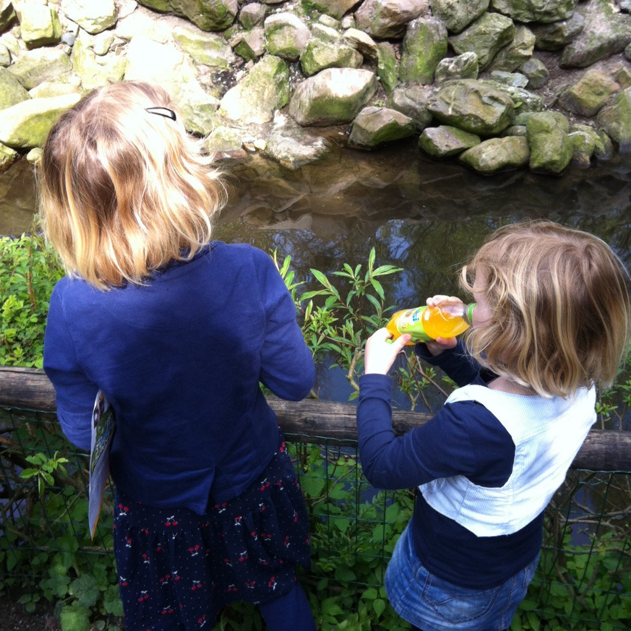 Rbosch71's profile picture. 