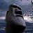 misiscagalwealt's profile image