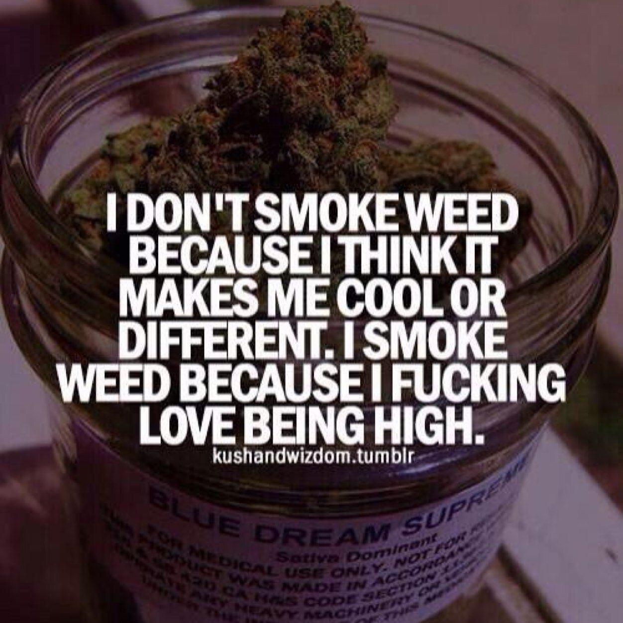 burnsworth2017's profile picture. The best weed since pink floyd.