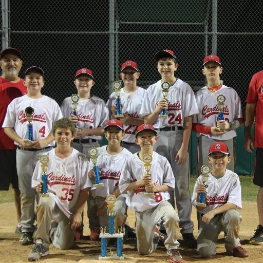 PlanoCardinals's profile picture. Plano Cardinals 11u Baseball