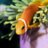 prevahprobthetf's profile image