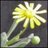 ecpreperdemar's profile image