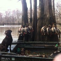 johnny drain - @swampduck1571 Twitter Profile Photo