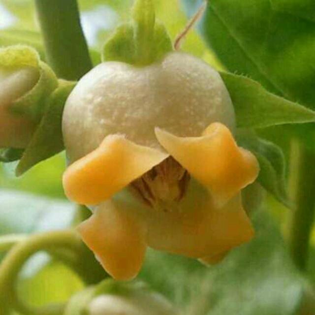 illsim48's profile picture. 