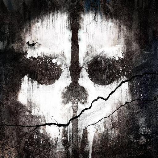 Gamer Pro of Call of Duty.