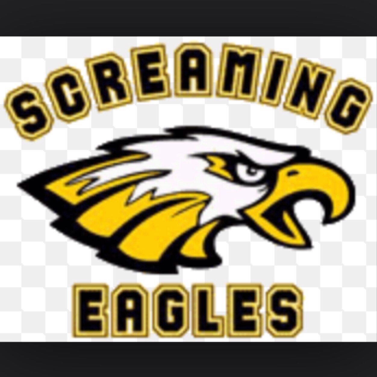 SVHS Class of 2017 Profile