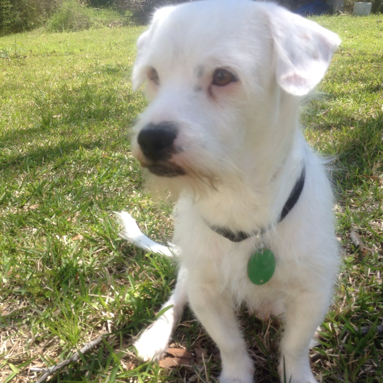 jack_boogs's profile picture. I love water