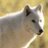 quevipadshypro's profile image