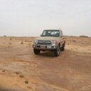 ذيب الابرق (@081ad19a28354c2) Twitter