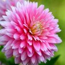 Georgina Camacho L - @GeorginaCLeyva - Twitter