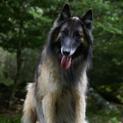 Profile Picture of POMAREL Marc #matric.5650 (@MarcFanlac) on Twitter